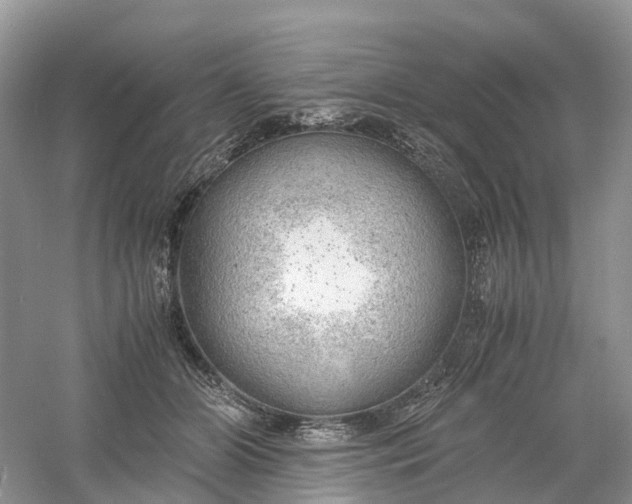 X0000061110510200512022129