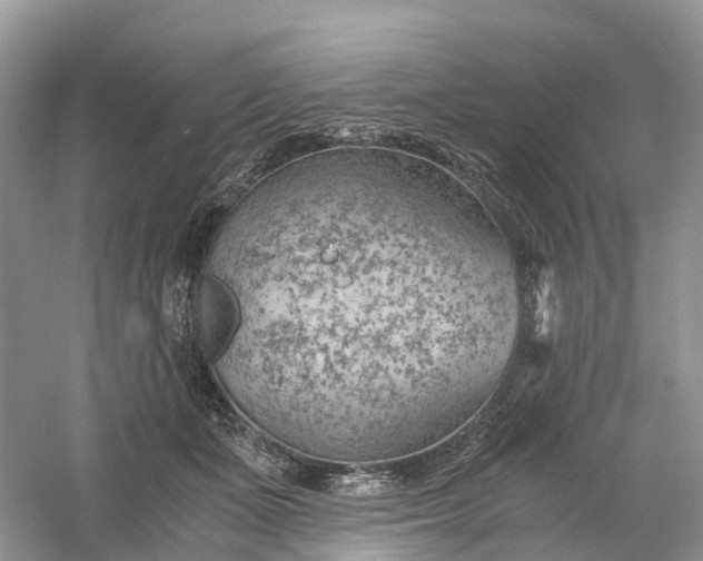 X0000061110511200512022129