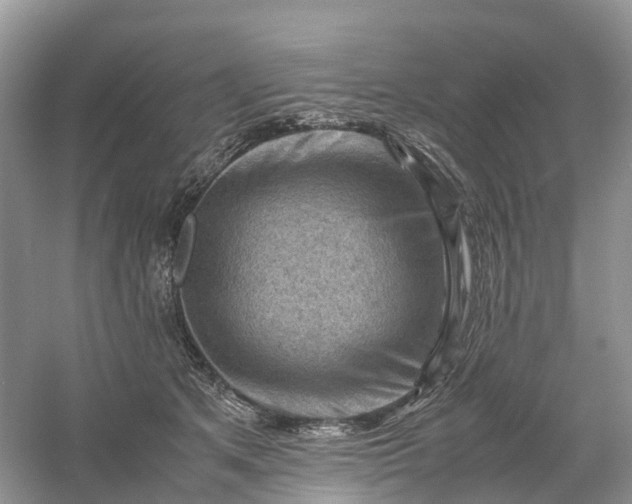 X0000061110513200512022129