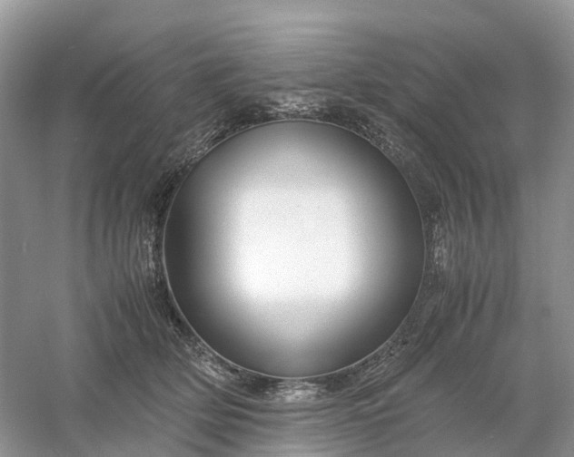 X0000061110514200512022129