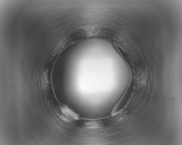 X0000061110516200512022129