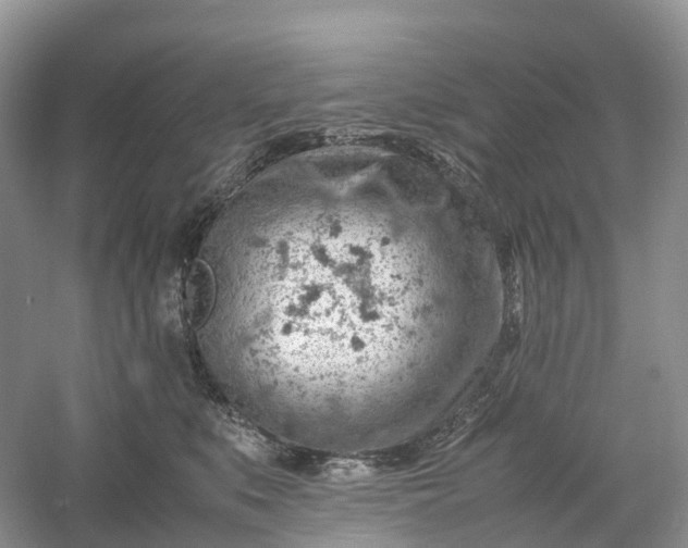 X0000061110519200512022129