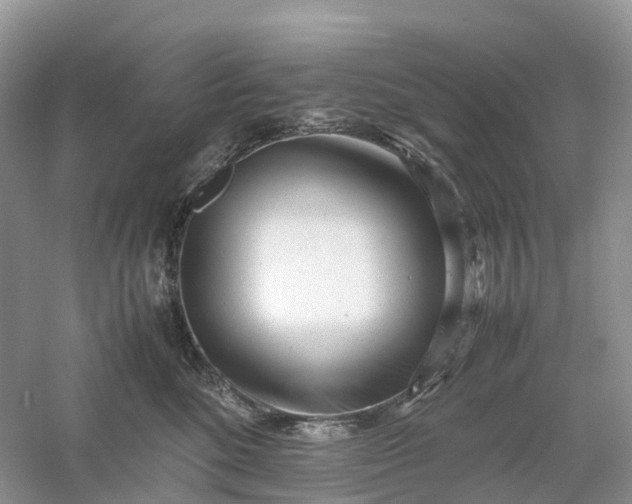 X0000061110520200512022129