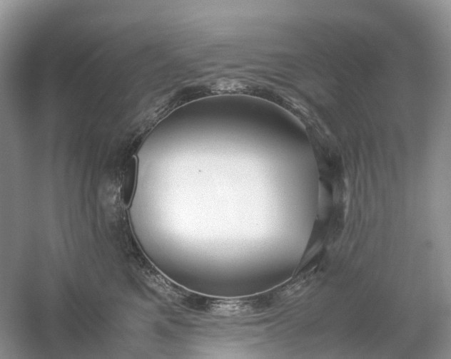 X0000061110521200512022129