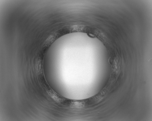 X0000061110522200512022129