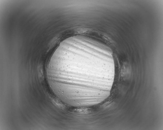 X0000061110524200512022129