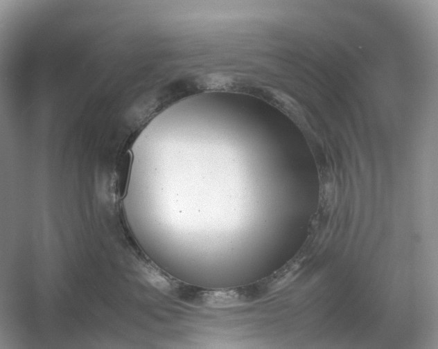 X0000061110525200512022129