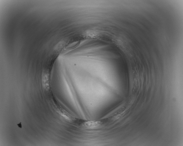 X0000061110526200512022129