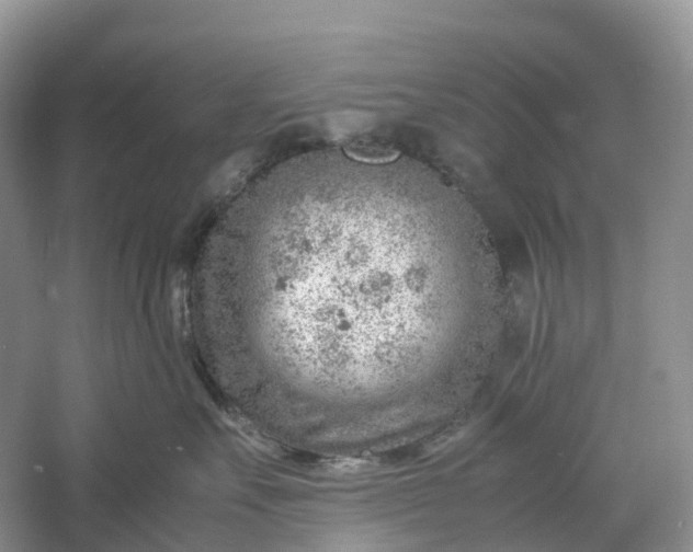 X0000061110527200512022129