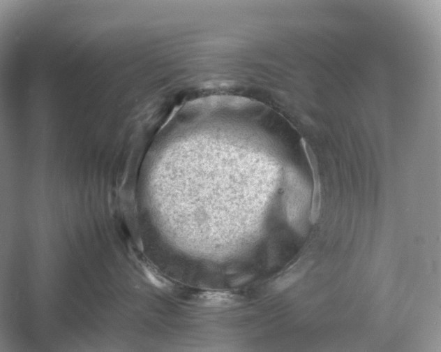 X0000061110528200512022129