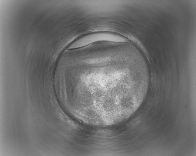 X0000061110529200512022128