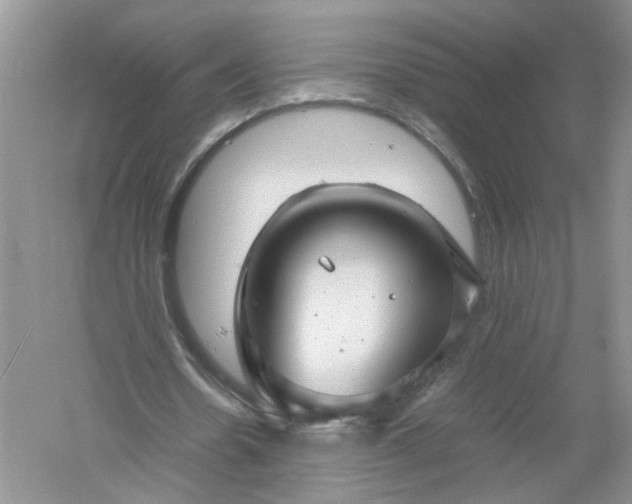 X0000061110530200512022128