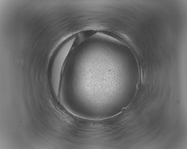 X0000061110531200512022128