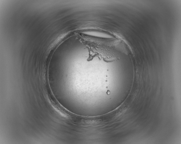 X0000061110533200512022128