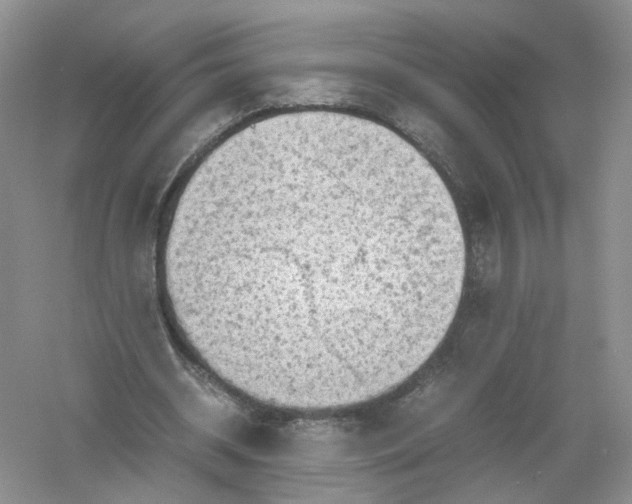 X0000061110534200512022128