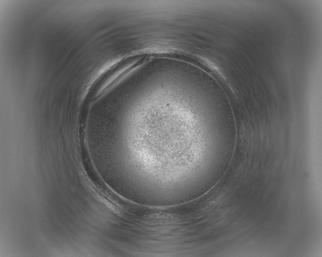 X0000061110535200512022128