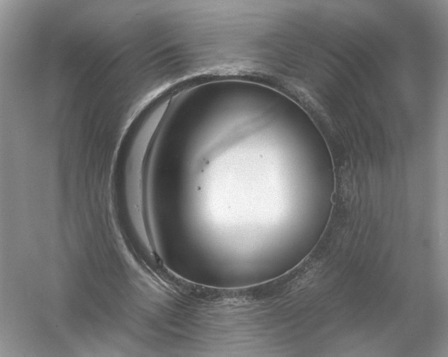 X0000061110536200512022128