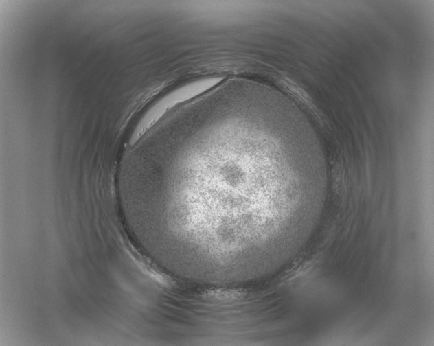 X0000061110537200512022128