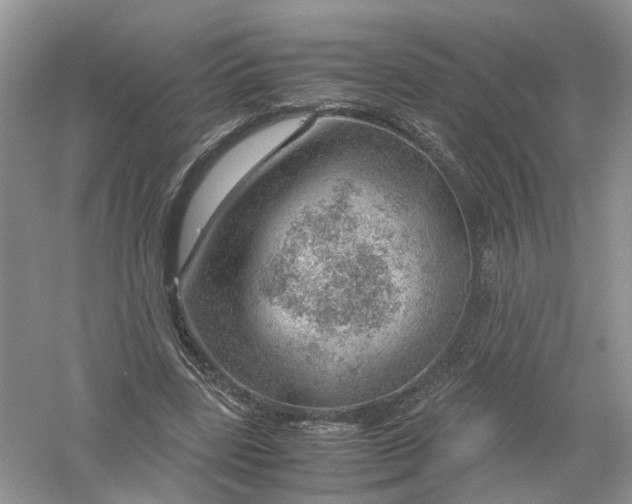 X0000061110539200512022128