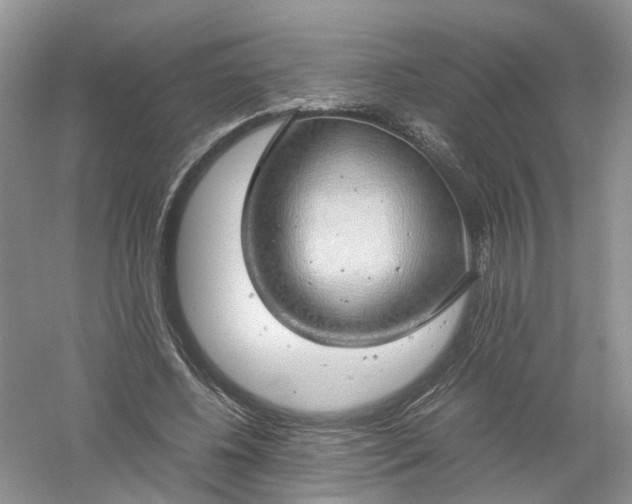 X0000061110540200512022128