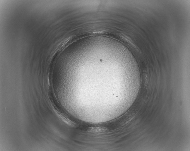 X0000061110541200512022128