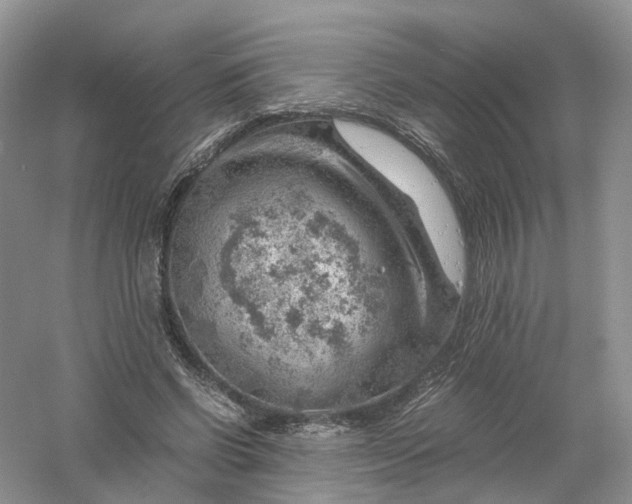 X0000061110542200512022128