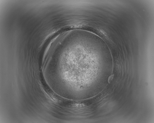 X0000061110543200512022128