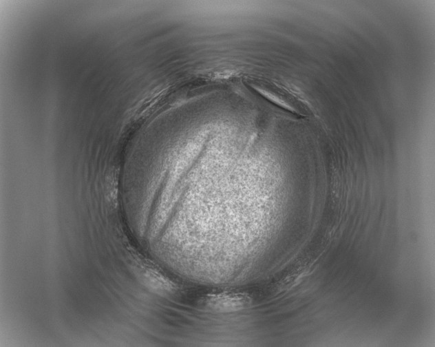 X0000061110545200512022128