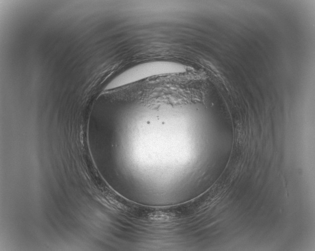 X0000061110549200512022128