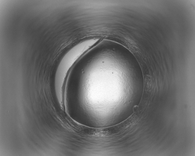 X0000061110550200512022128