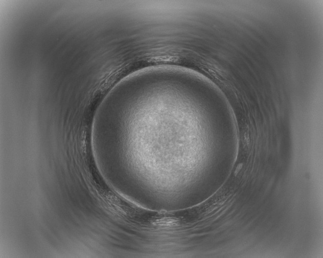 X0000061110551200512022128