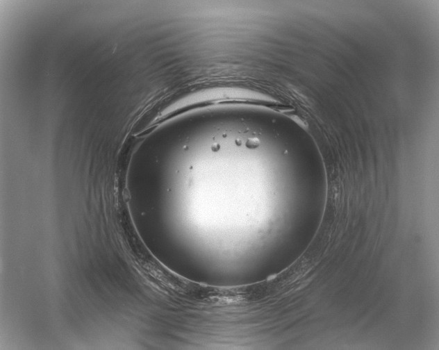 X0000061110552200512022128