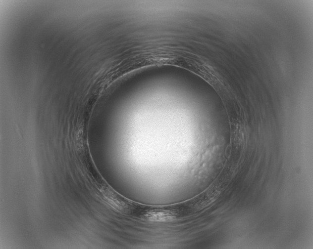 X0000061110557200512022128