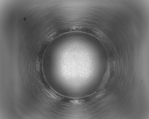 X0000061110558200512022128