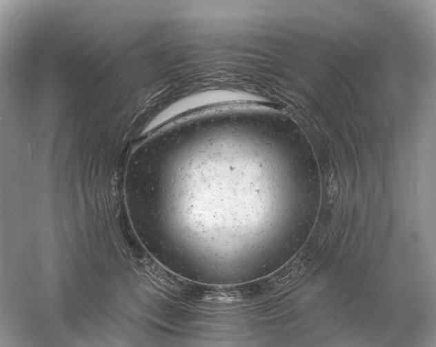 X0000061110559200512022128