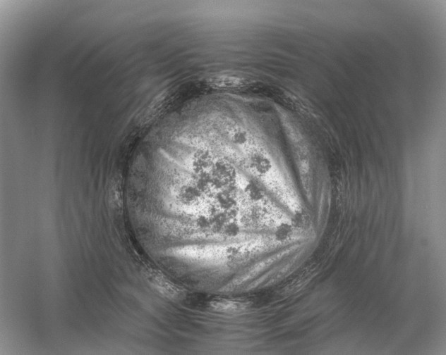 X0000061110561200512022128