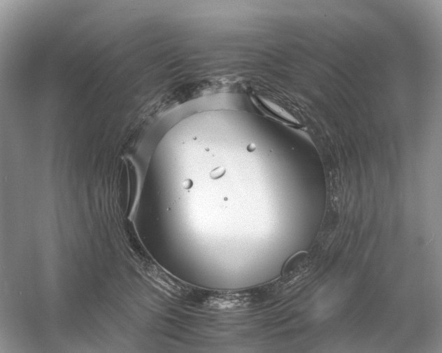 X0000061110563200512022128