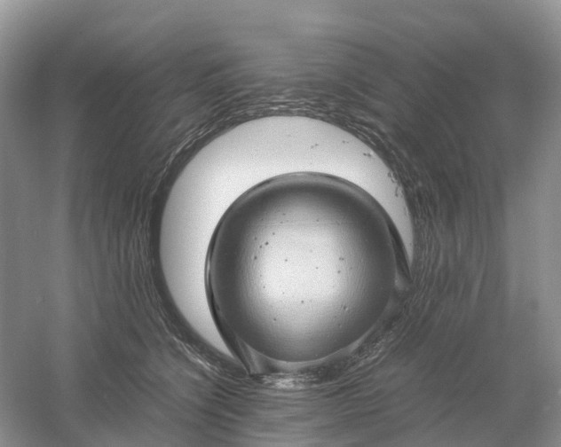 X0000061110564200512022128