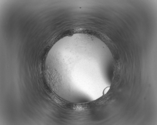 X0000061110565200512022128