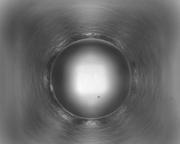 X0000061110566200512022129