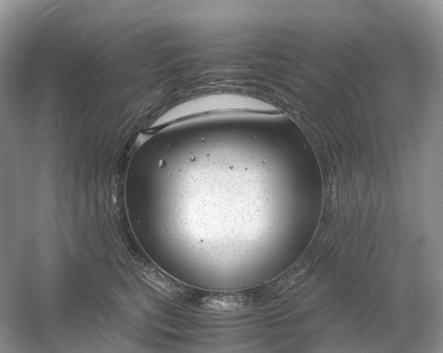 X0000061110567200512022129