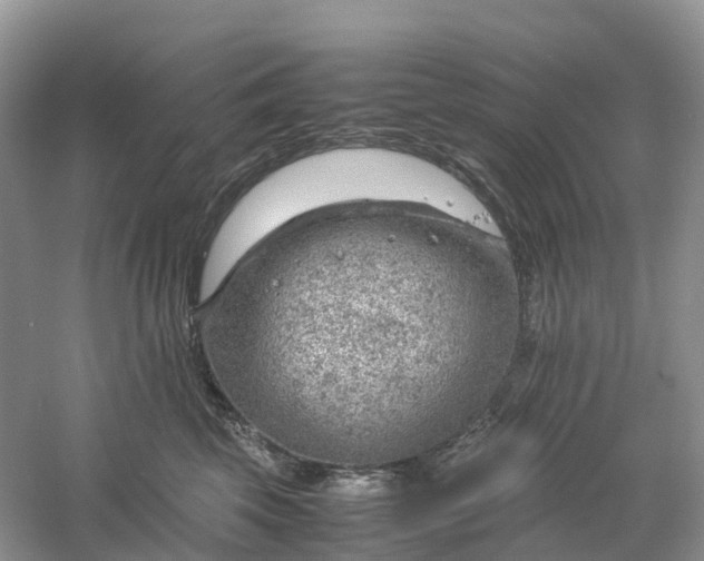 X0000061110569200512022129