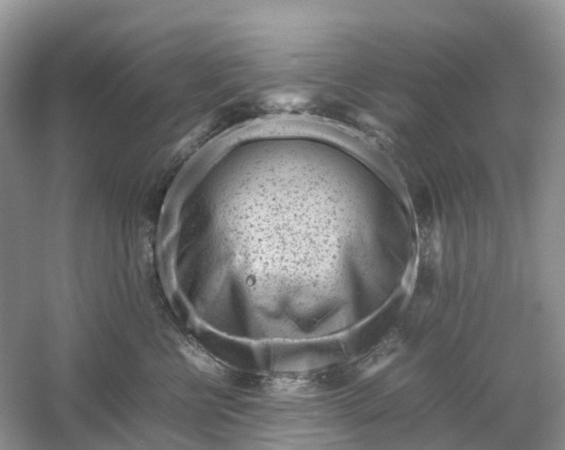 X0000061110570200512022129