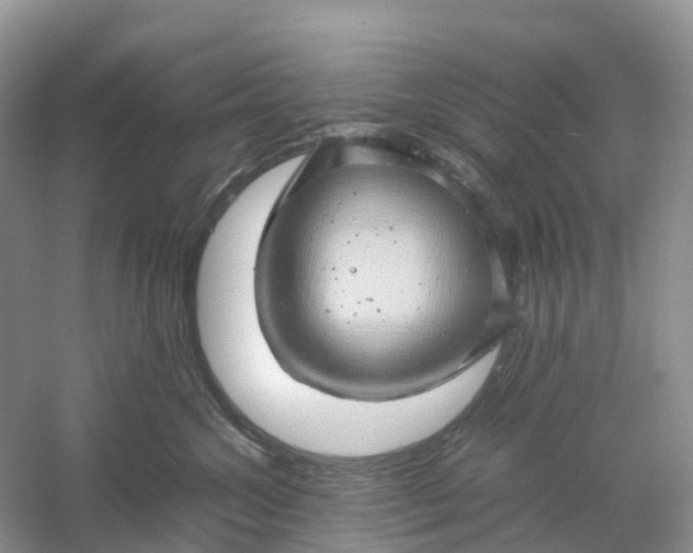 X0000061110572200512022129