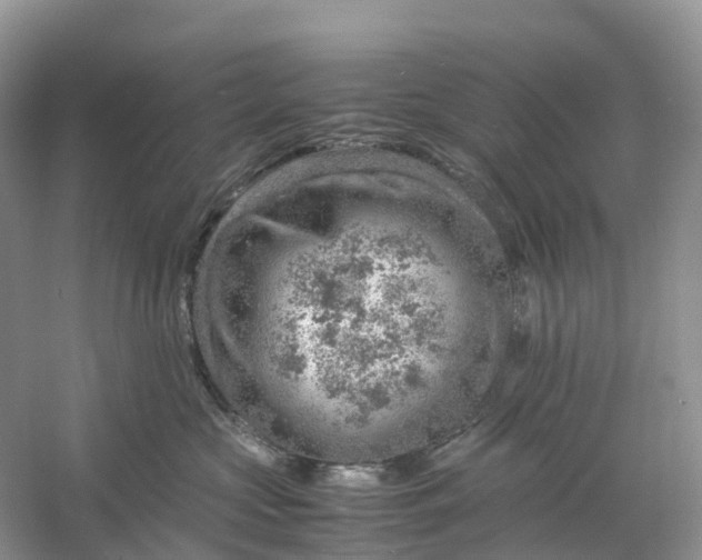 X0000061110573200512022129