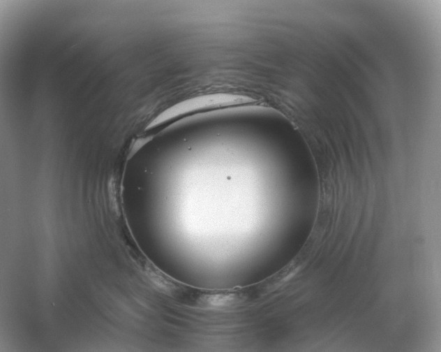 X0000061110575200512022129