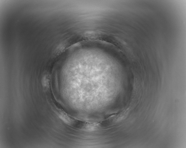 X0000061110576200512022129