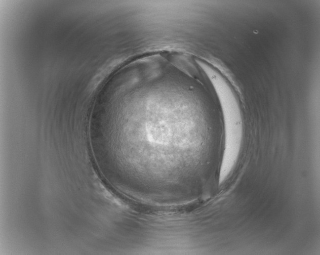 X0000061110577200512022128