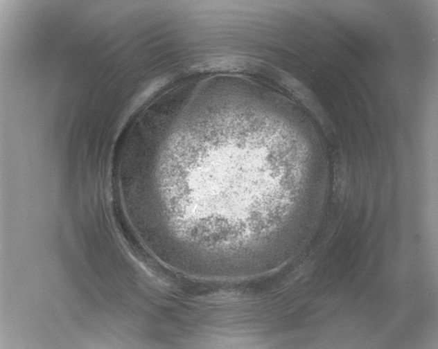 X0000061110578200512022128