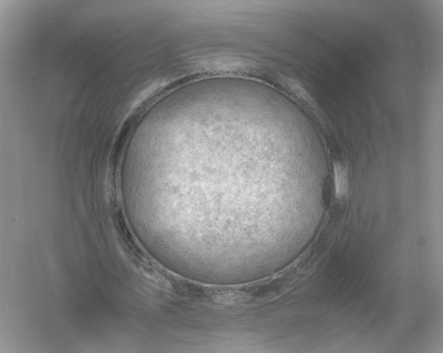 X0000061110579200512022128